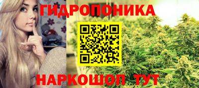 mdpv Гусев